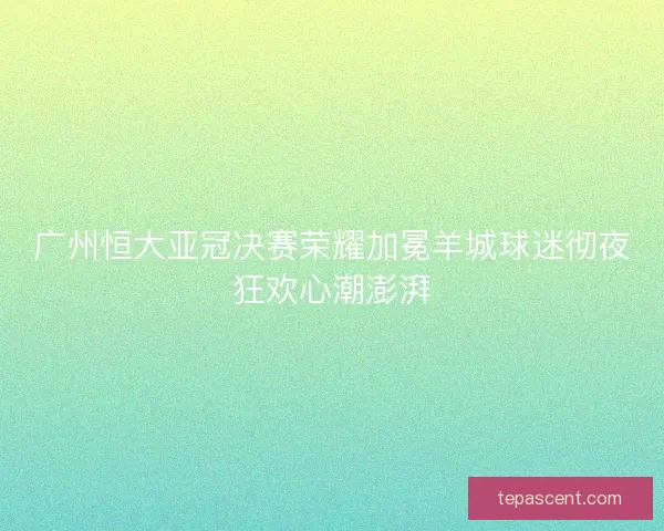 广州恒大亚冠决赛荣耀加冕羊城球迷彻夜狂欢心潮澎湃 广州恒大亚冠决赛荣耀加冕羊城球迷彻夜狂欢心潮澎湃