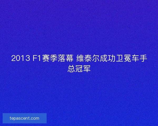 2013 F1赛季落幕 维泰尔成功卫冕车手总冠军
